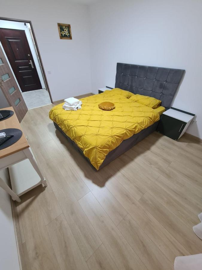 Garsoniera Luxury Kevin Διαμέρισμα Πιτέστι Εξωτερικό φωτογραφία